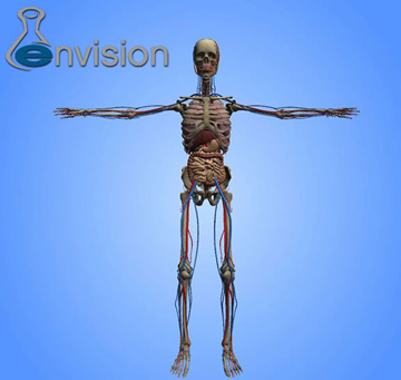 Envision Virtual Model